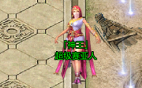 迅天雷豹：传奇世界中的三职业坐骑解析