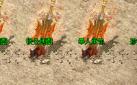 金砖在《热血传奇》中的专业解析